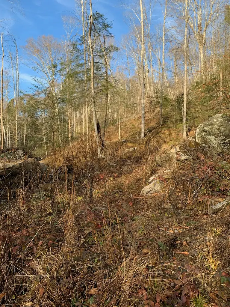 000 Lick Branch Maces Creek Road, Viper, KY 41774 - #3
