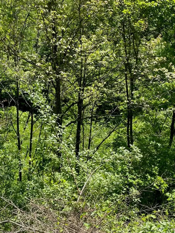 0 Buck Creek (db 230, Dp 353), Royalton, KY 41464