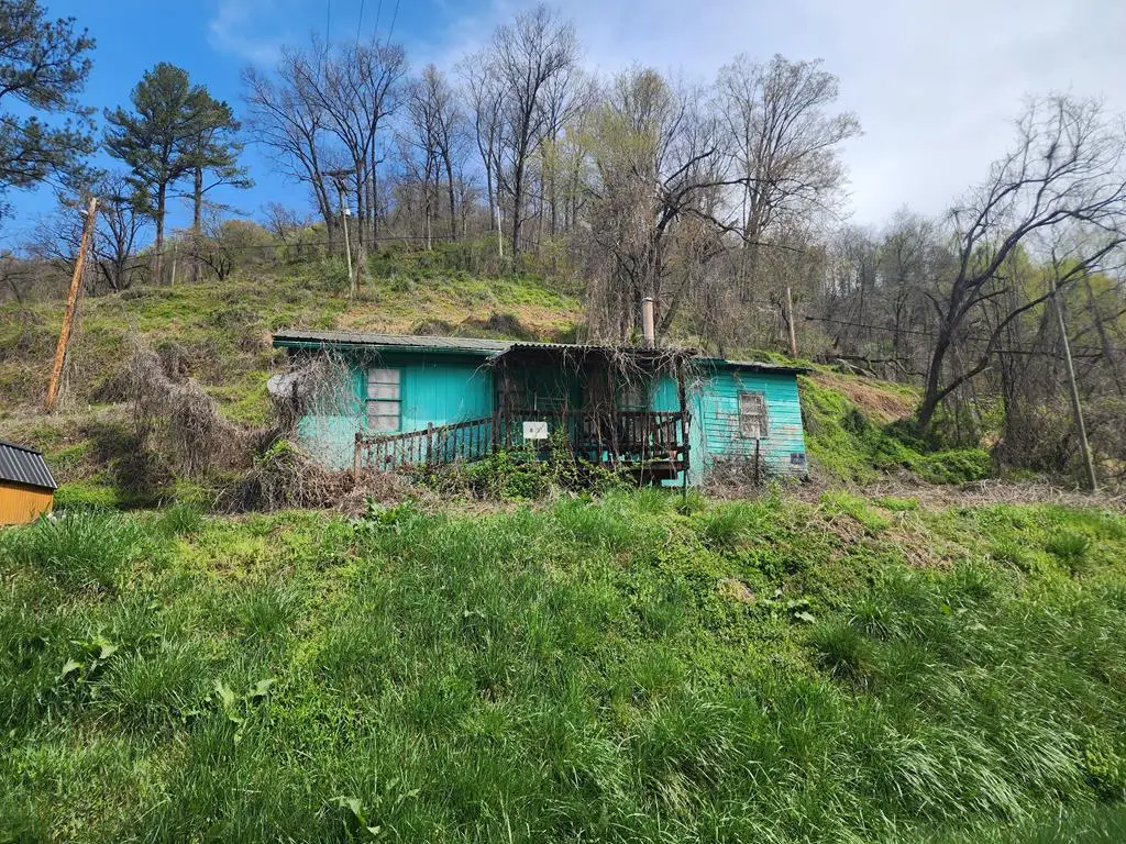 87 Springfield Dr., Wayland, KY 41666 - Image #1