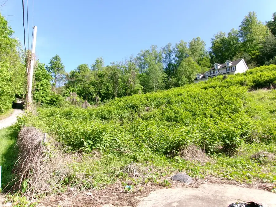 627 Turkey Knob, Paintsville, KY 41240 - #3