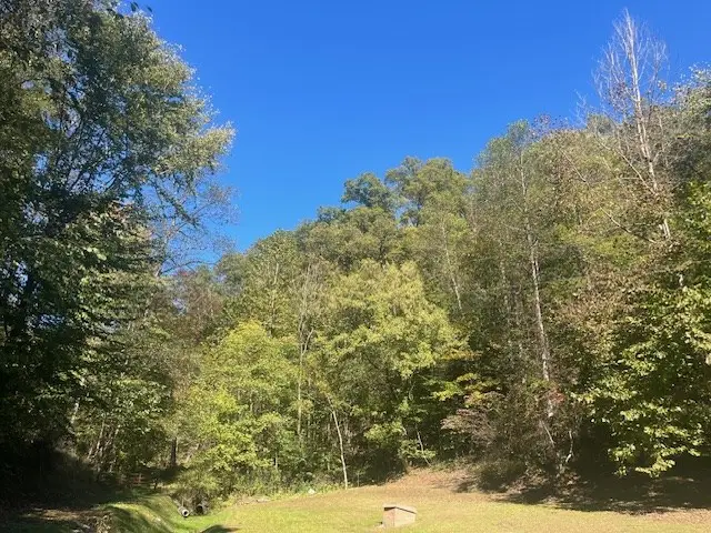 00 Pruitt Street, Prestonsburg, KY 41653 - #2