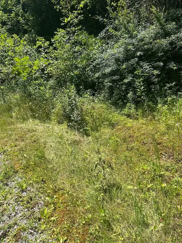 3066 Big Willard Road, Busy, KY 41723