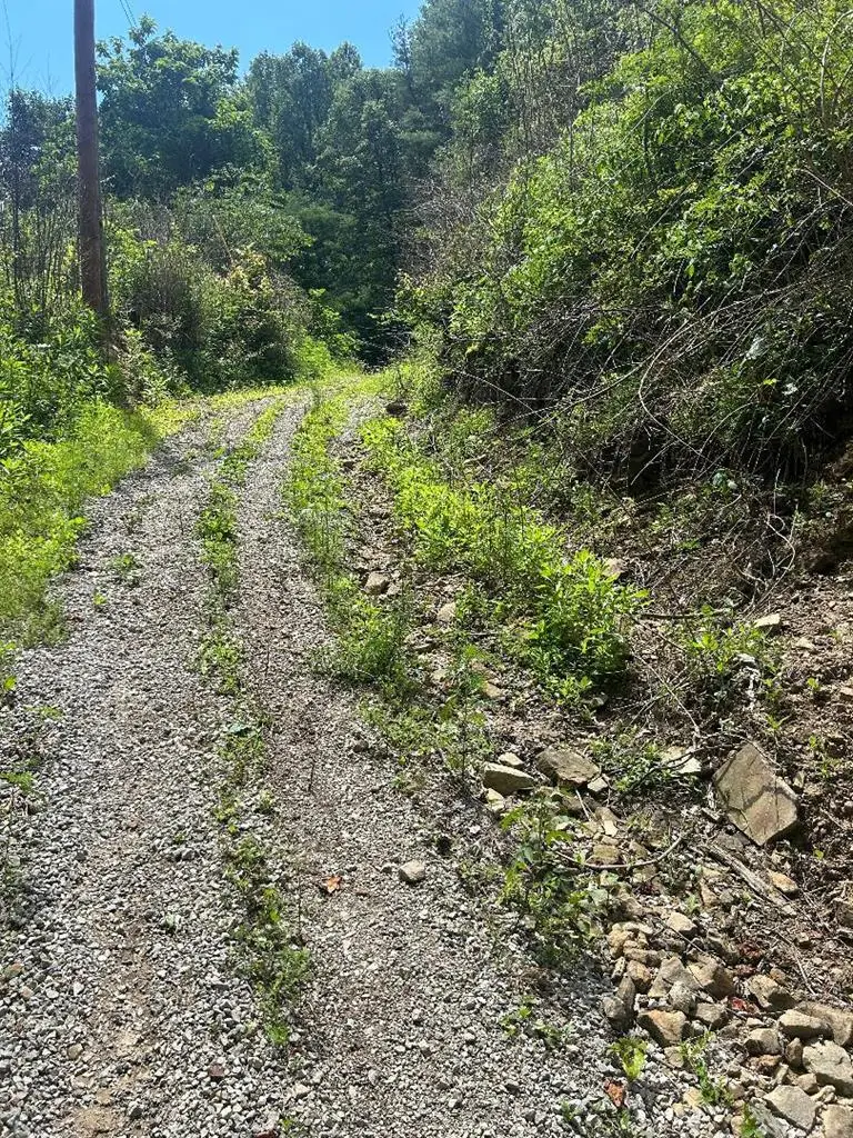 3066 Big Willard Road, Busy, KY 41723 - #2