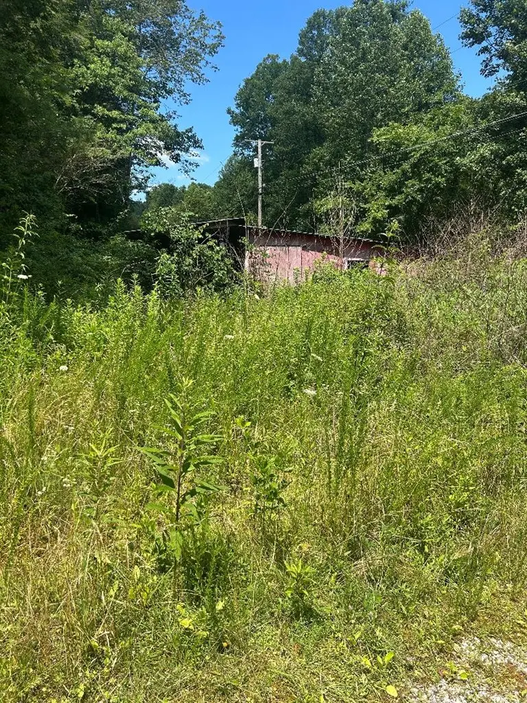 3066 Big Willard Road, Busy, KY 41723 - #3