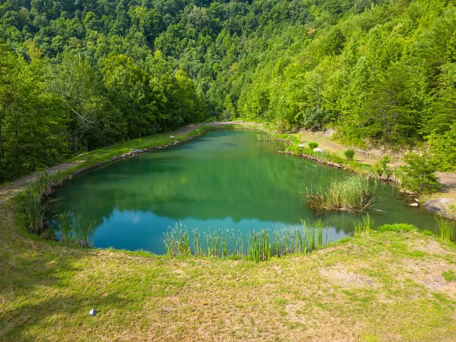 4242 Thornton Rd, Thornton, KY 41855 - Image #2