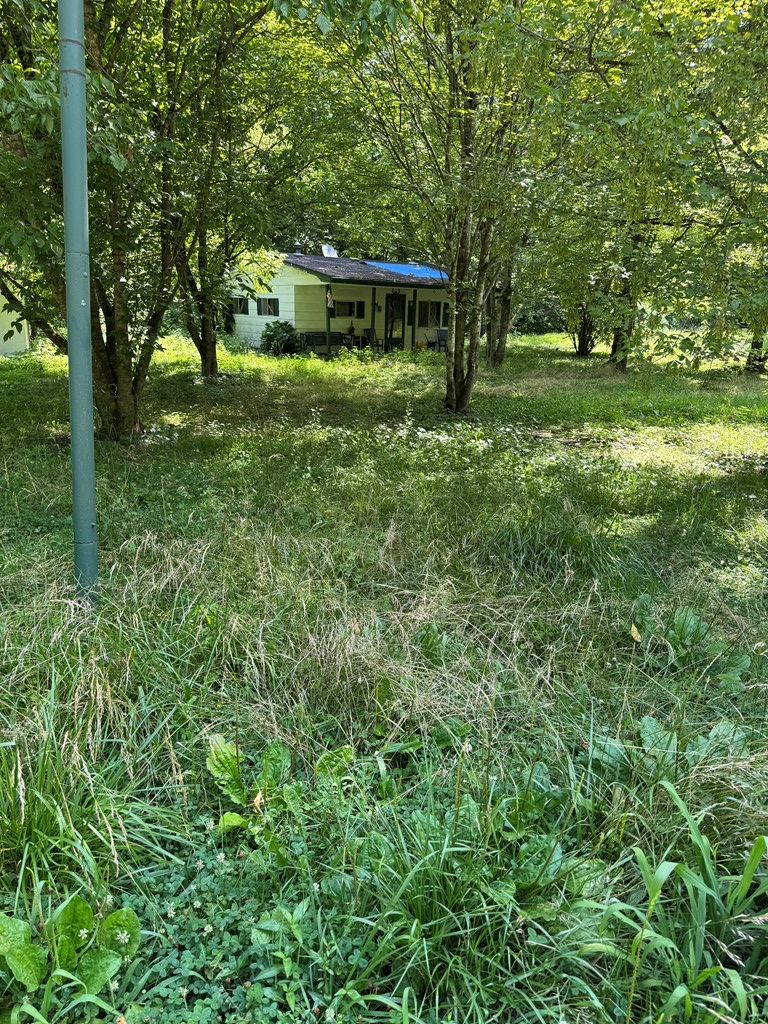 9827 Yellow Creek, Louisa, KY 41230 - #2