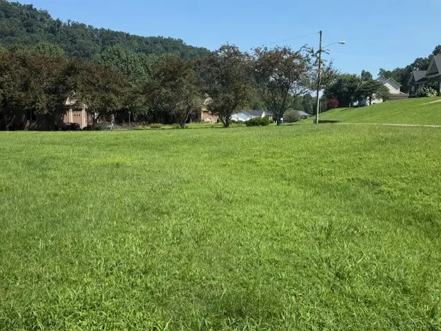 515 Jasper Lane, Paintsville, KY 41240 - Image #2