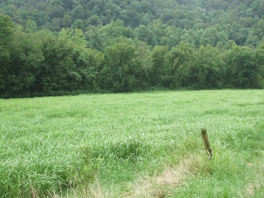 Address Withheld By Seller, Hueysville, KY 41640 - Image #2