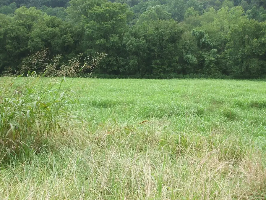 Address Withheld By Seller, Hueysville, KY 41640 - Image #3