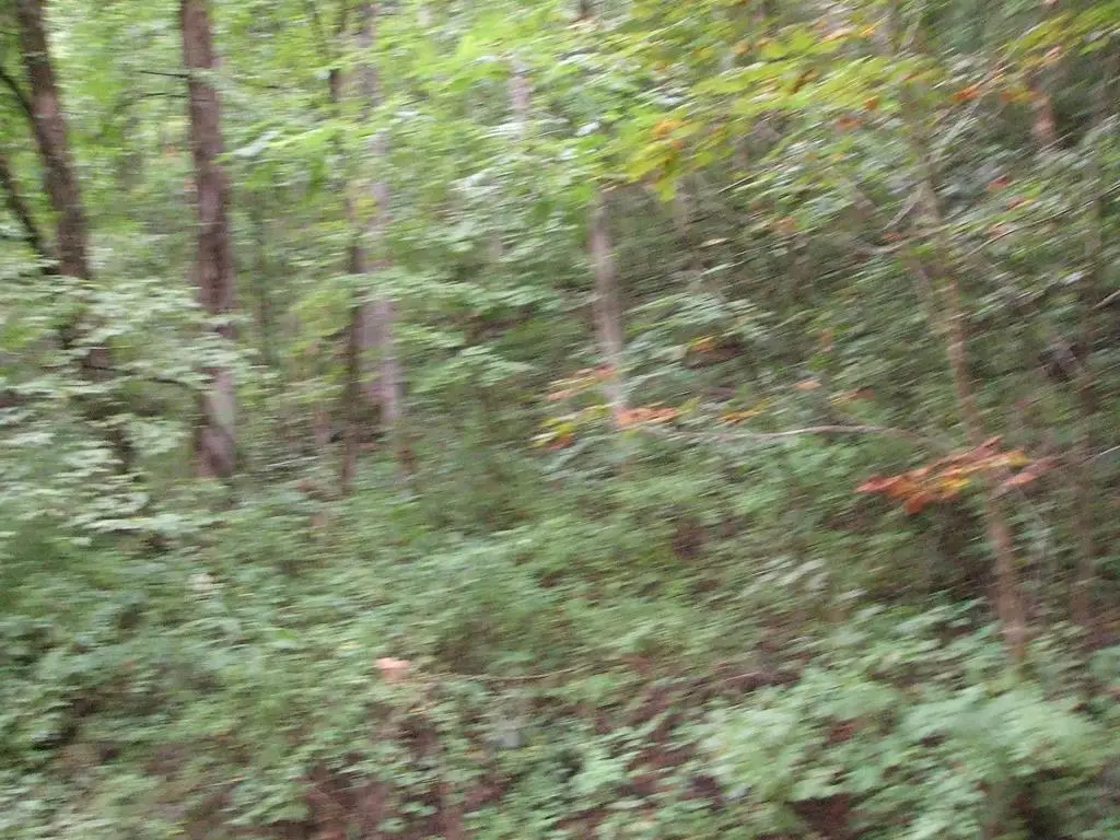 0 Db 702 Dp 418 Prater Creek, Hueysville, KY 41640 - Image #1