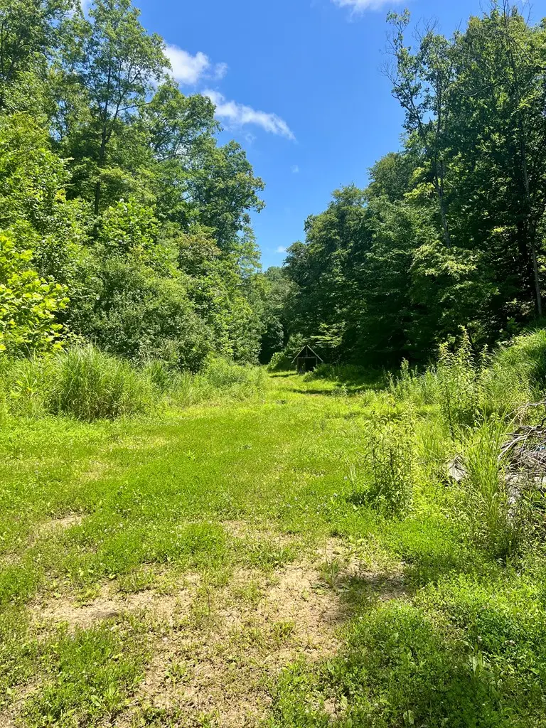 00 W Puncheon Road, Salyersville, KY 41465 - Image #2