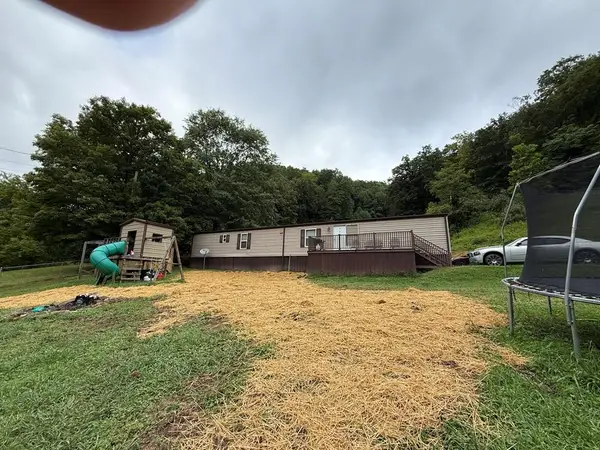 2446 Grassy Branch, Raccoon, KY 41557