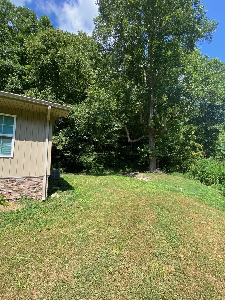 97 Sawyers Rd., Lick Creek, KY 41540 - Image #2