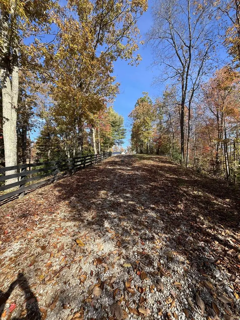 4 Grassy Hill Rd, West Liberty, KY 41472 - #3