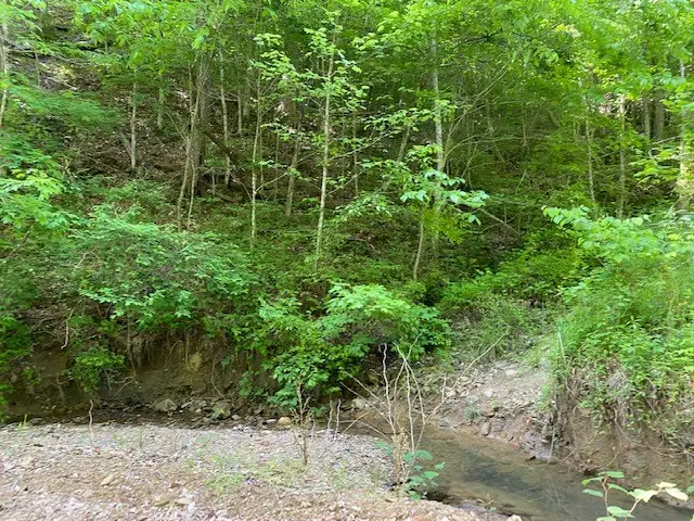 0 Alley Fork, Prestonsburg, KY 41653 - Image #3