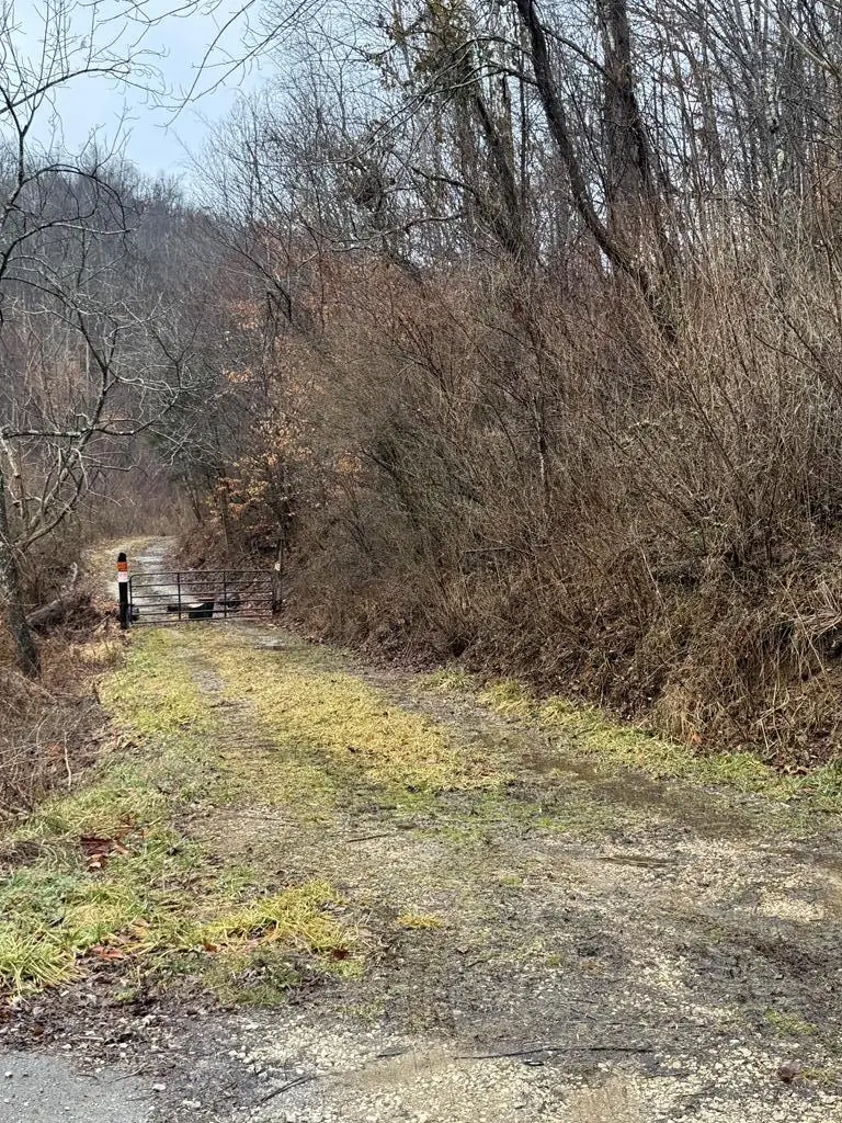 0 Meade Branch, Louisa, KY 41230 - #2