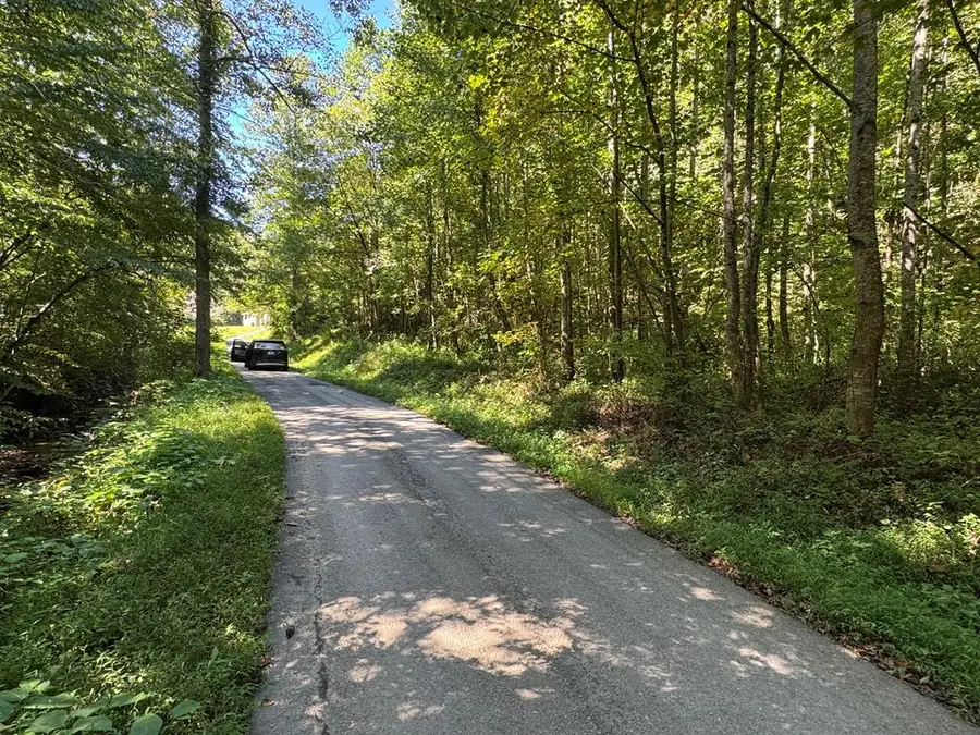 0 Elswick Branch, Lick Creek, KY 41540 - Image #3