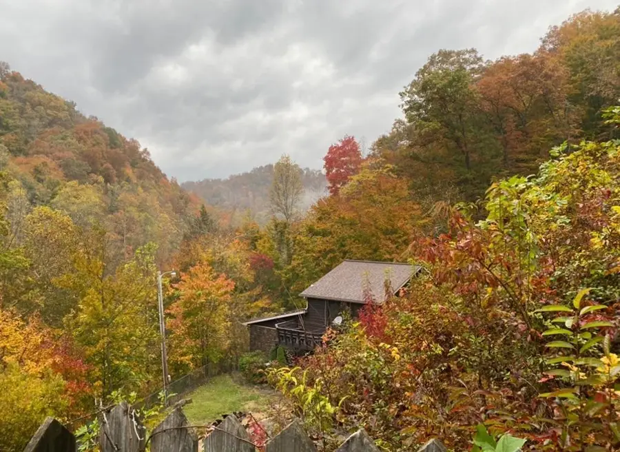 1085 Spring Branch Road, Jeremiah, KY 41826 - #2