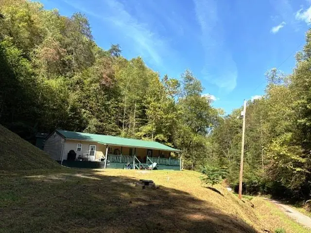 247 Netley Branch, McAndrews, KY 41543 - Image #2