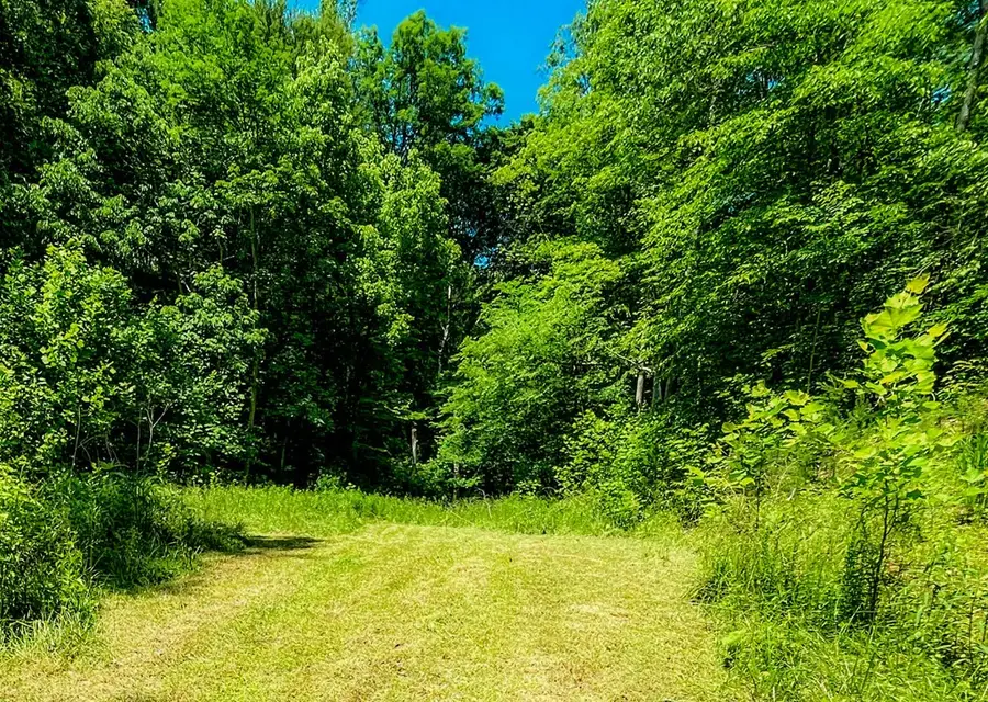 00 Lower Twin Branch Db455pg660, Staffordsville, KY 41222 - Image #3