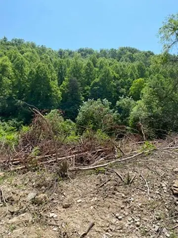 00 Rye Branch (db 225, Dp 424-433), Gunlock, KY 41632