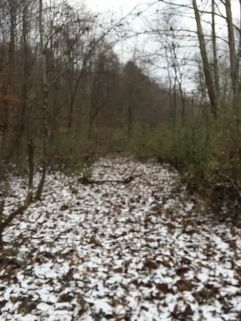 00 Rye Branch (db 225, Dp 424-433), Royalton, KY 41632 - Image #3