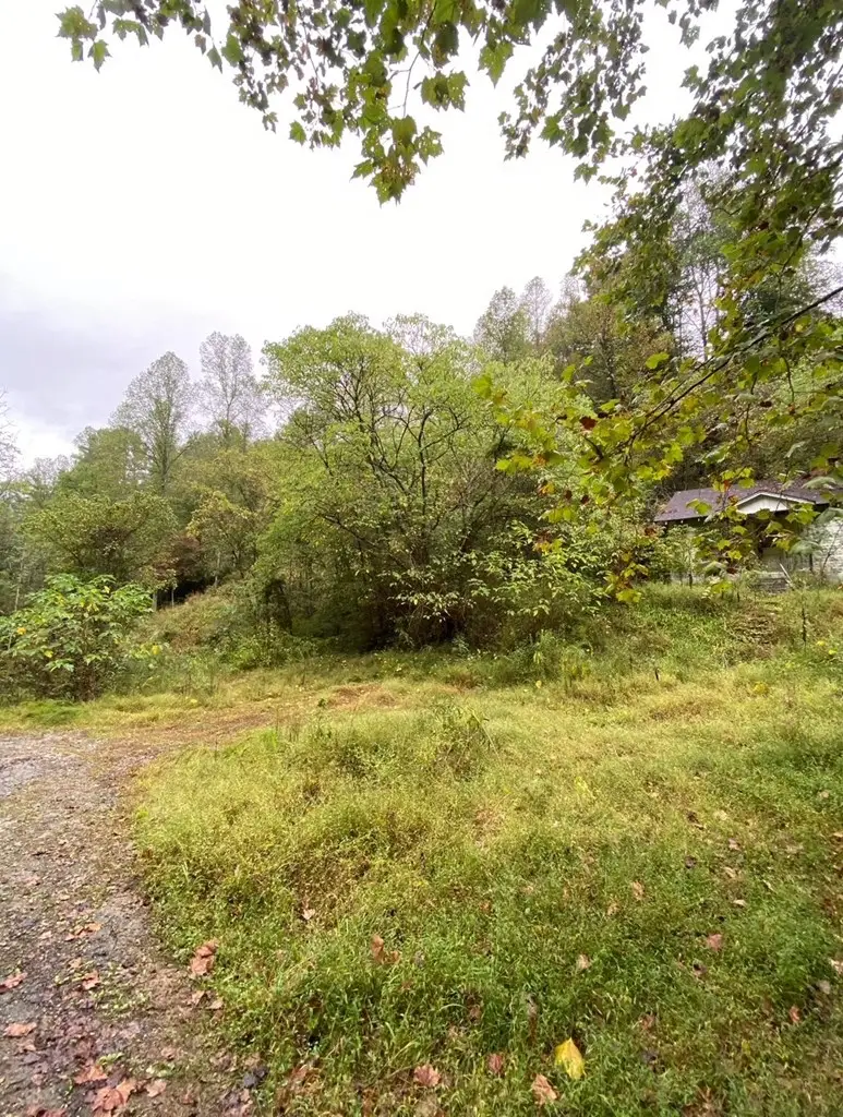 214 Crigger Hollow, Sidney, KY 41031 - Image #3