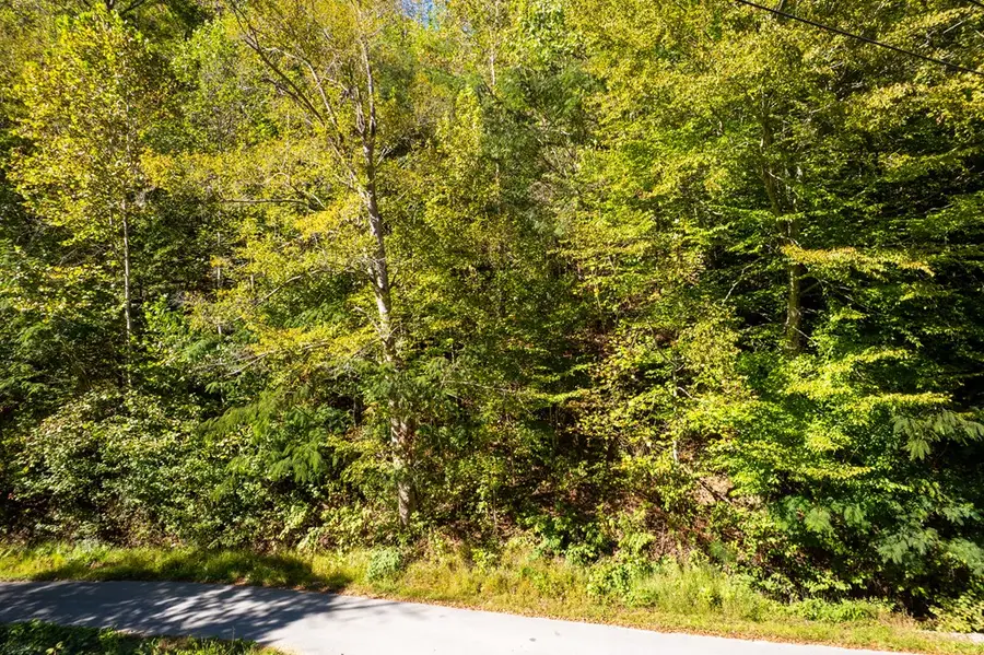 0 Jimmies Creek, Regina, KY 41559 - Image #2