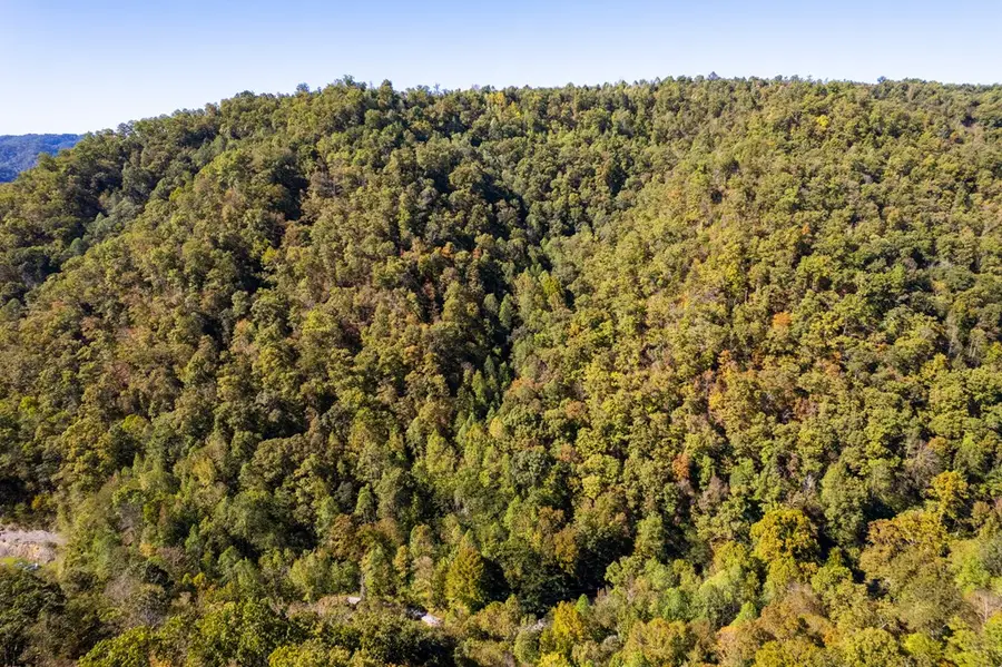 0 Jimmies Creek, Regina, KY 41559 - Image #3