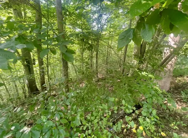 550 Left Fork Maces Creek Rd, Viper, KY 41774