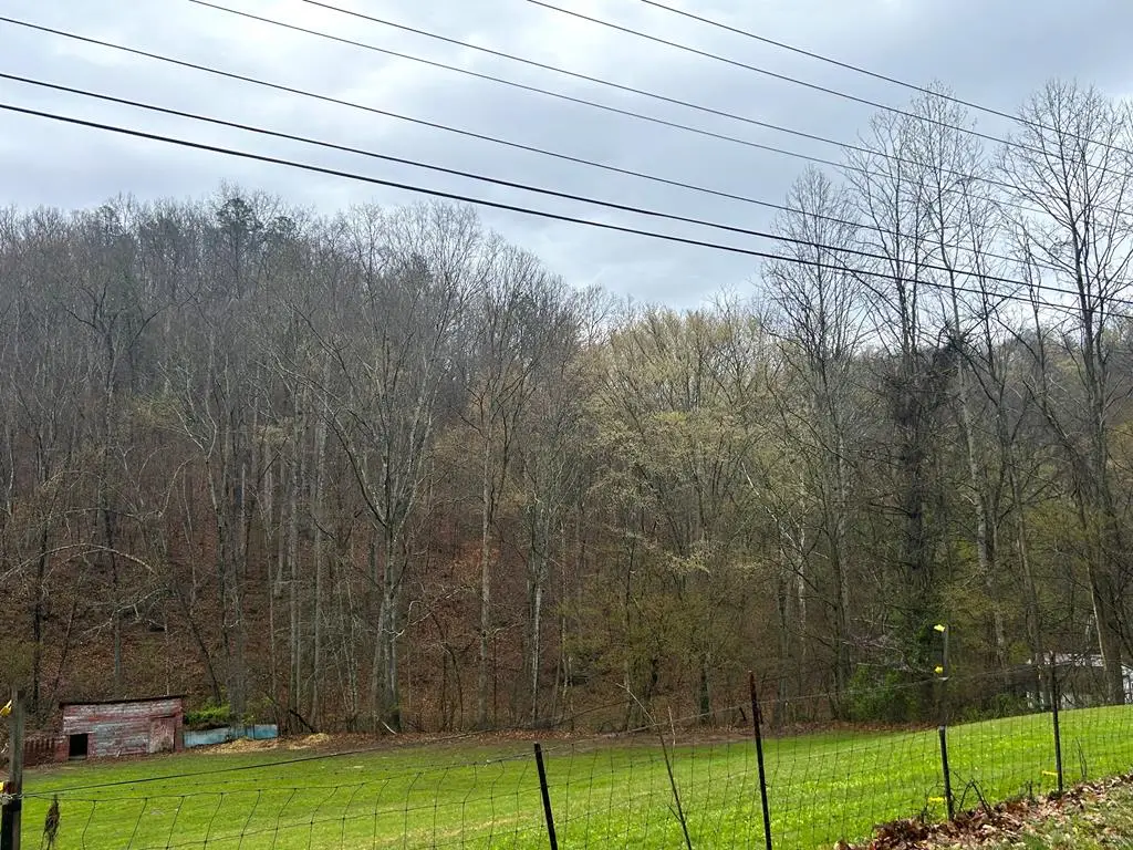 0 Old Wiley Branch Road, River, KY 41254 - Image #1