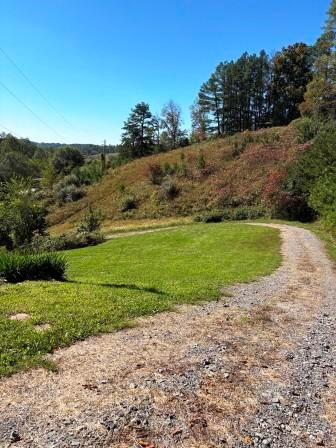 470 Gerald Carr Branch, Flatgap, KY 41219 - #3