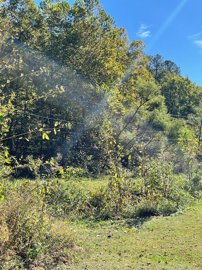 0 Rt 1635 (map: 053-00-00-00.001) Oakley Road, Salyersville, KY 41465 - Image #1