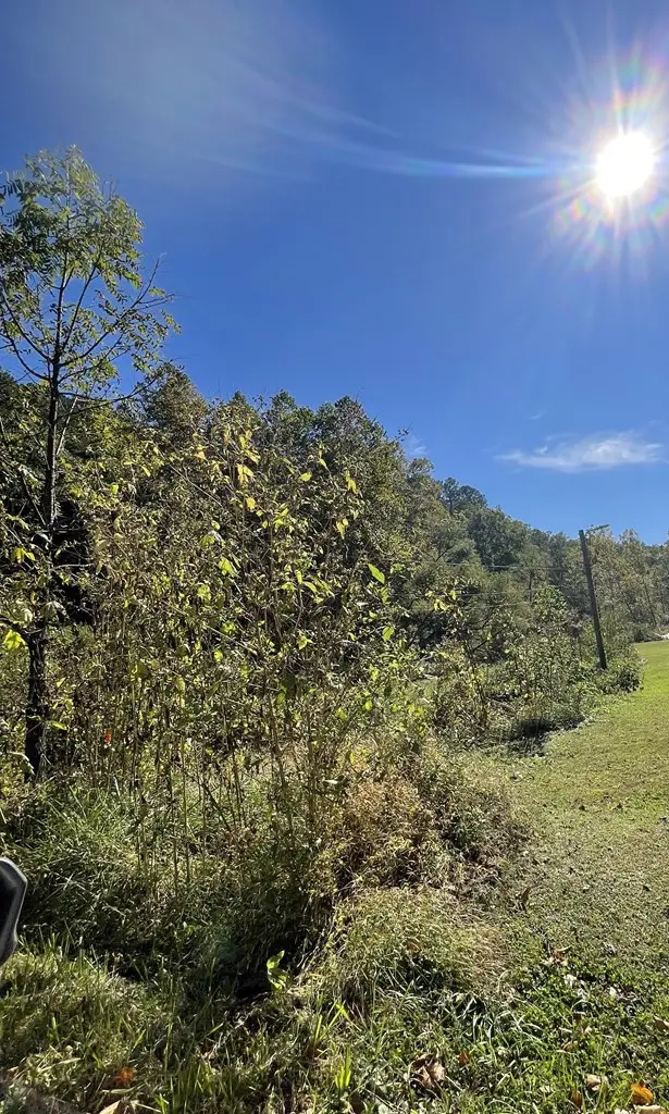 0 Rt 1635 (map: 053-00-00-00.001) Oakley Road, Salyersville, KY 41465 - Image #2