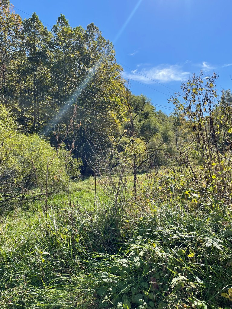 0 Rt 1635 (map: 053-00-00-00.001) Oakley Road, Salyersville, KY 41465 - Image #3