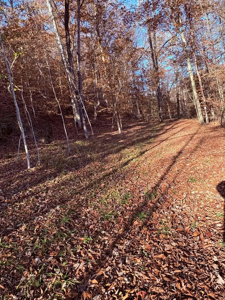 0 None, Hagerhill, KY 41222 - Image #1