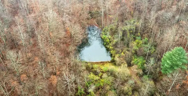 503 Brown Branch Rd Dix Fk, Sidney, KY 41564