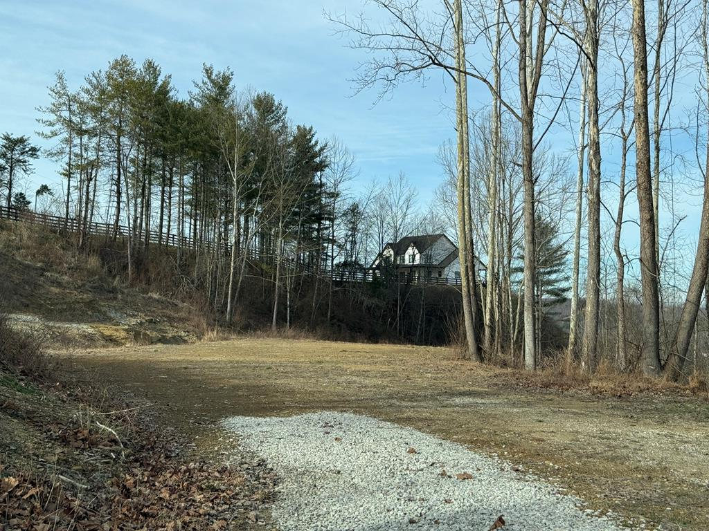 0 Tower Hill Rd, Louisa, KY 41230 - Image #1