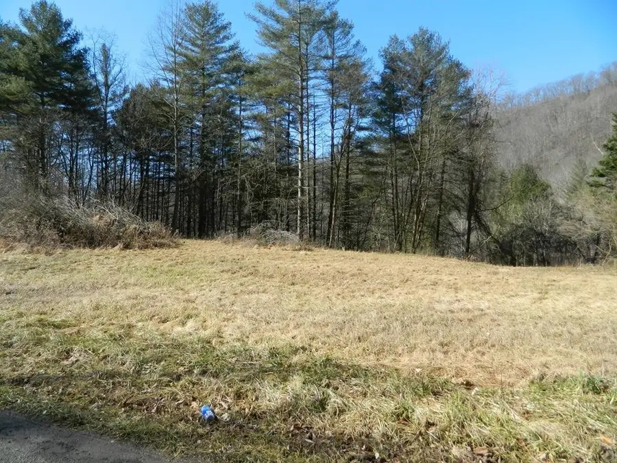 509 Left Fork Of Upper Chloe, Pikeville, KY 41502 - Image #2