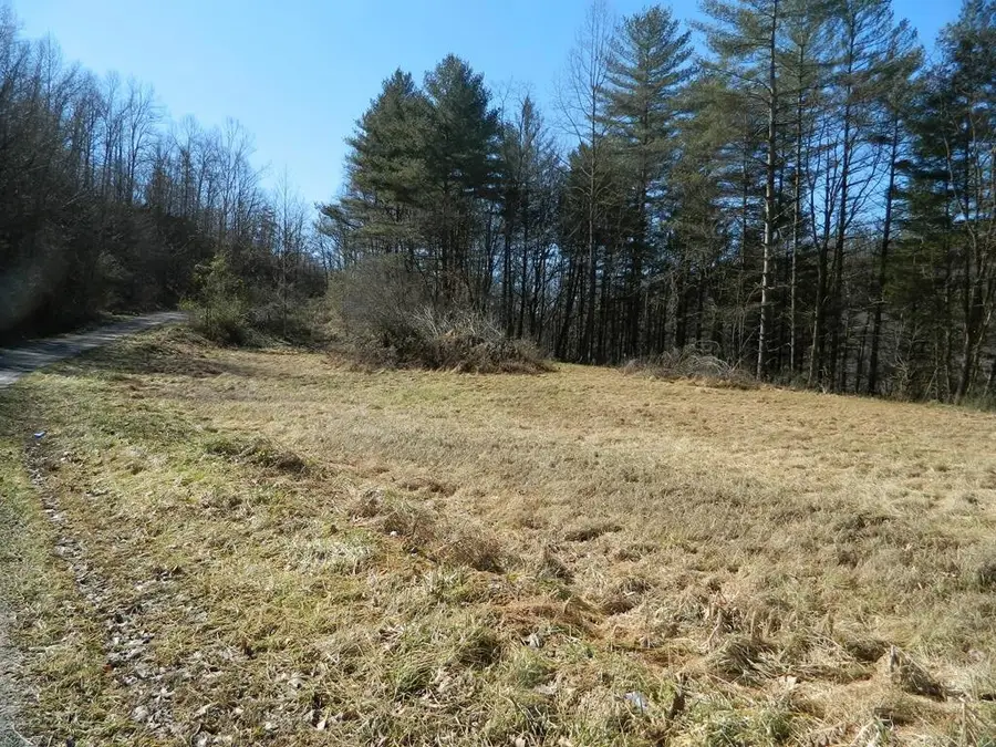 509 Left Fork Of Upper Chloe, Pikeville, KY 41502 - Image #3