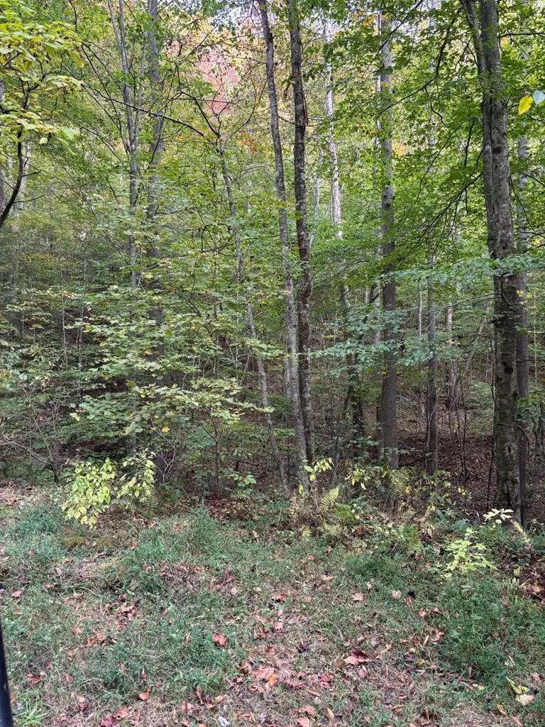 0 Hammonds Hollow, Whitesburg, KY 41858 - Image #3