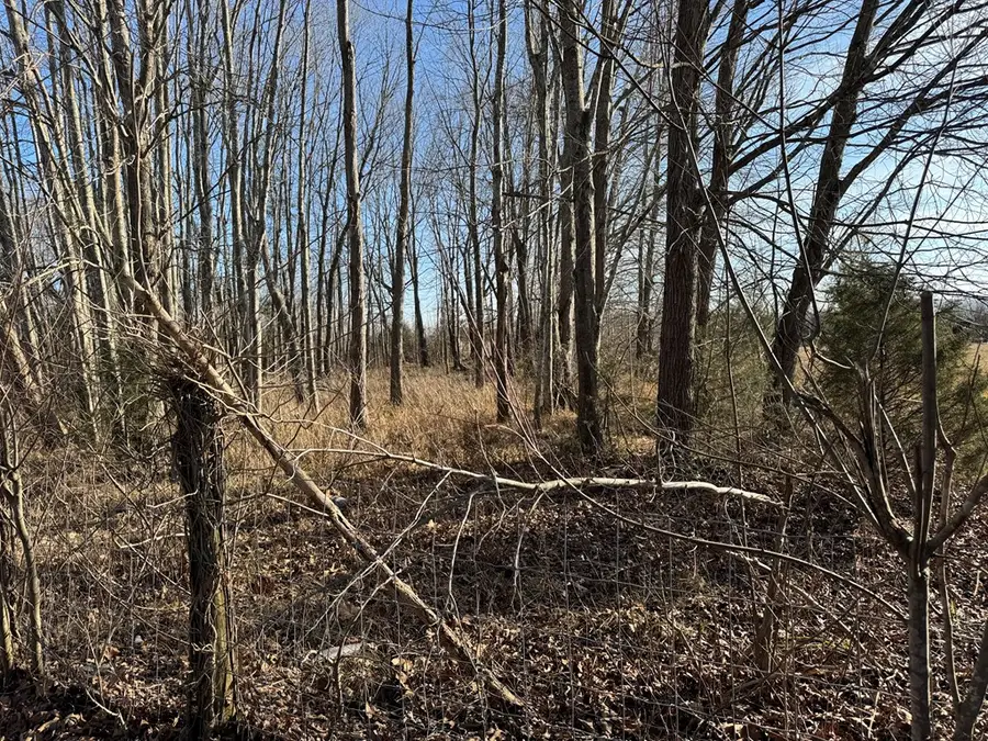 TBD Old Sand Road, Owingsville, KY 40360 - #2