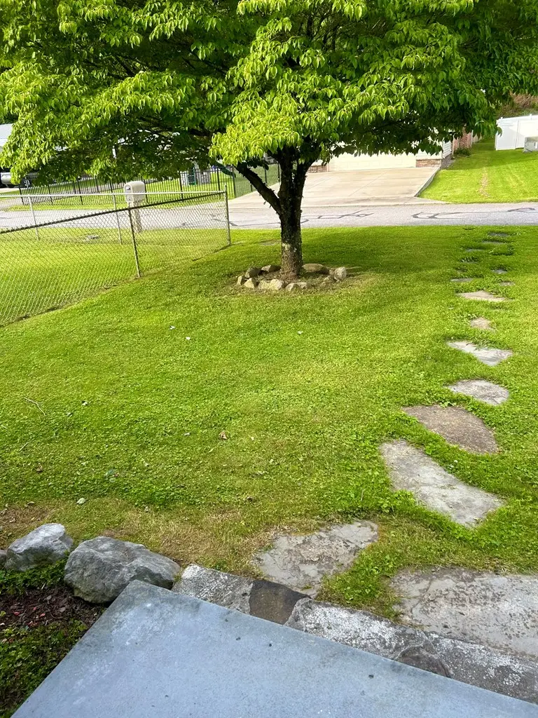 159 Keene Village Drive, Raccoon, KY 41557 - #3