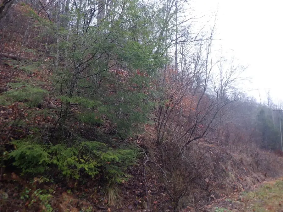 0 Loves Branch, Whitesburg, KY 41858 - #3