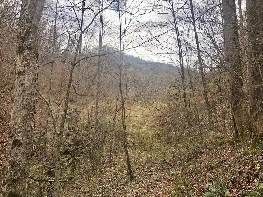0 Love Branch, Whitesburg, KY 41858 - #2