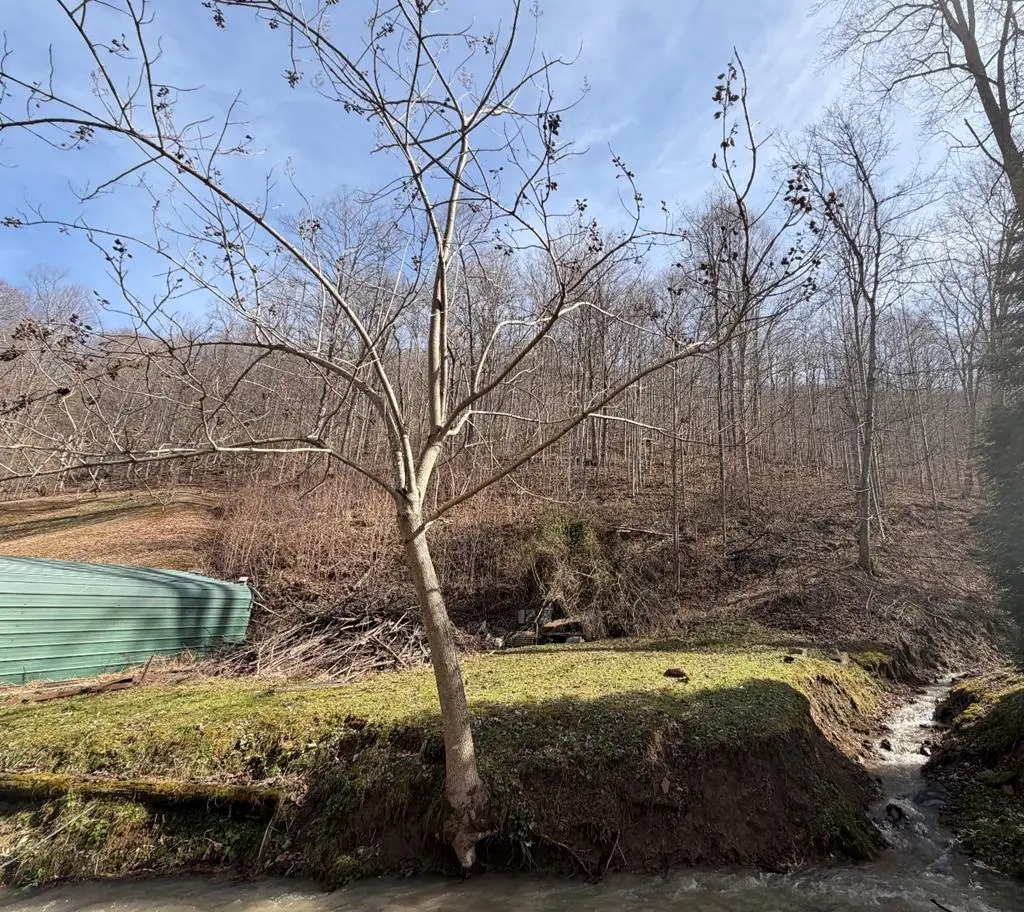 0 Benton Fork Rd, Canada, KY 41519 - #1