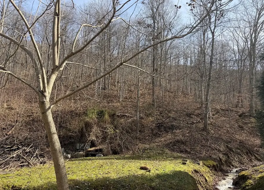 0 Benton Fork Rd, Canada, KY 41519 - #2