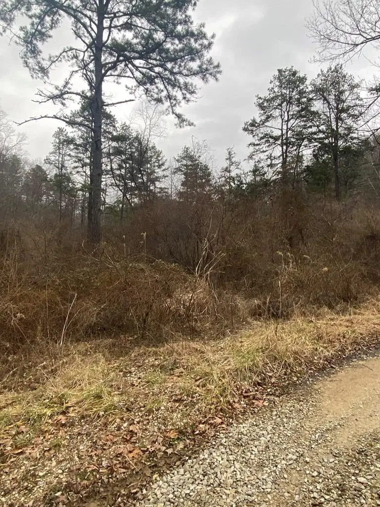 0 Cow Creek (map 015-00-00-027), Salyersville, KY 41465 - #3