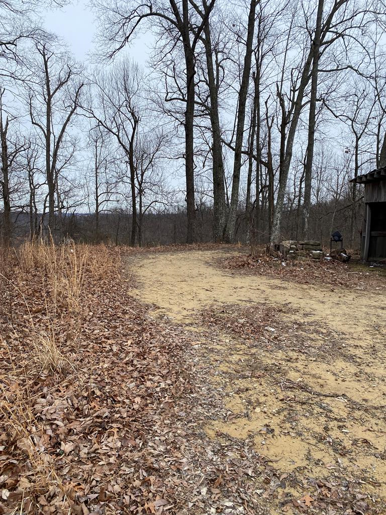 0 Alsept Fork Road (map #: 009-00-00-006.01), Salyersville, KY 41465 - #1