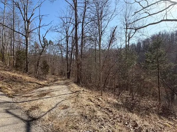 7041 Ky Route 1092, Flat Gap, KY 41219